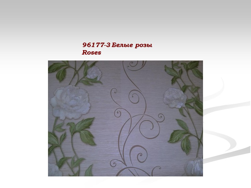 96177-3 Белые розы Roses